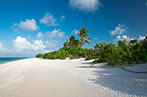 Palm trees on a white sandy beach in Bikini Atoll, Marshall Islands